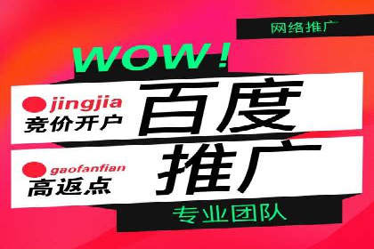 SEM代运营公司案例：优化策略揭秘